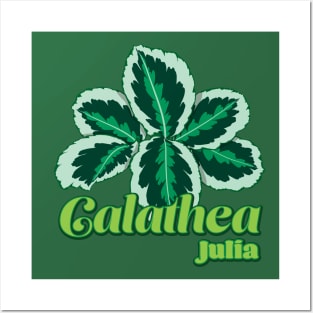 Calathea Julia Posters and Art